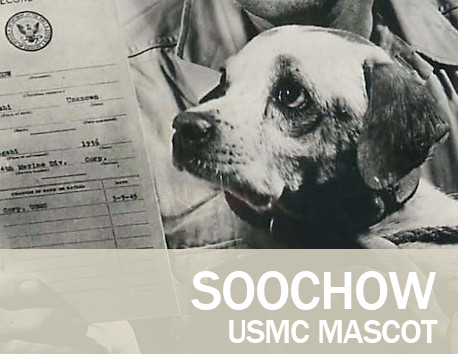 Soochow - USMC Mascot